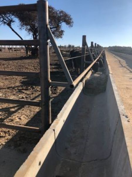 Chemvet Feedlots